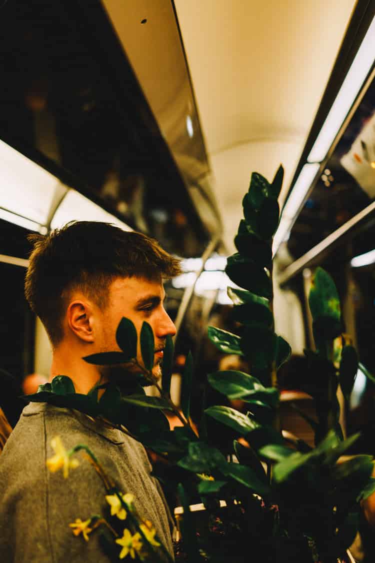 sony rx1r iii autofocus performance — everyday shooting sample